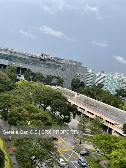 Blk 206 Serangoon Central (Serangoon), HDB 3 Rooms #382491331